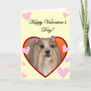 Cartão De Festividades Valentine's Shih Tzu greeting card
