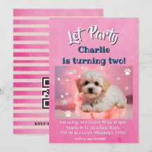 Vamos Festejar Aniversário do Cachorro 