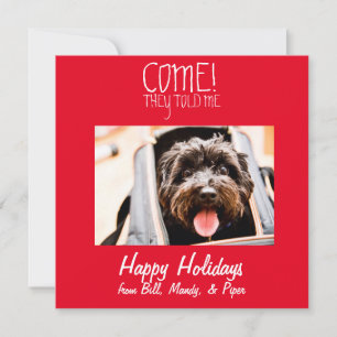 Cartão De Festividades VAMOS! Pet Photo Holiday Card