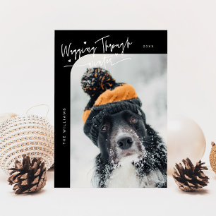 Cartão De Festividades Vassoura Através Do Cachorro De Inverno Foto De Na