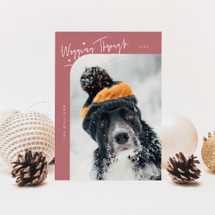 Cartão De Festividades Vassoura Através Do Cão De Inverno Foto Rosa Natal