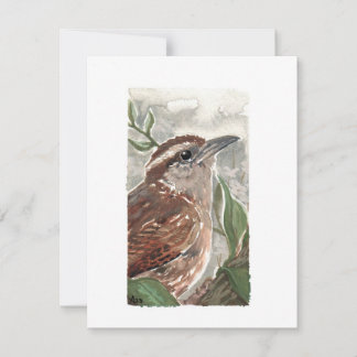Cartão De Festividades Vazio - Carolina Wren Watercolor Impressão