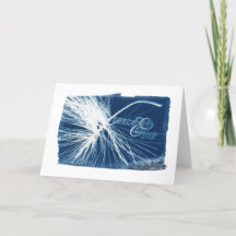 Vazio de White Pine Cyanotype da paz & da alegria