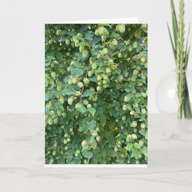 Cartão De Festividades Vazio do outono (Frente)