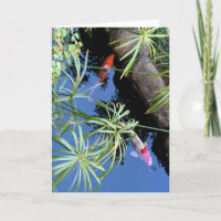 Vazio Maui Koi Pond
