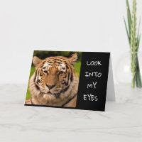 ***VEJA MEUS OLHOS*** FELIZ ANIVERSÁRIO