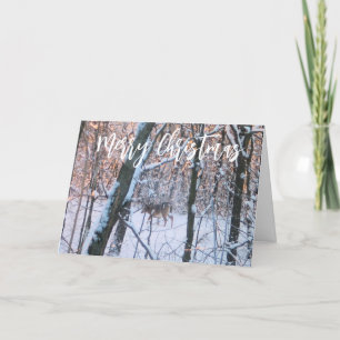 Cartão De Festividades Vendedor de Natal