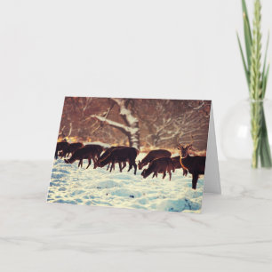 Cartão De Festividades Vendedor de Natal