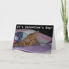 Cartão De Festividades Venha, Namorados de Gato