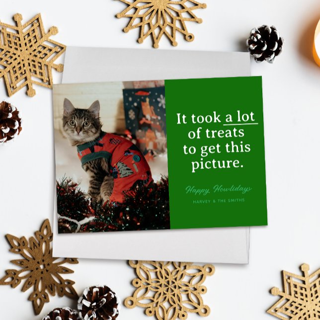 Cartão De Festividades Verdes e Felizes Felizes Felizes Felizes Feliz Nat ("It took a lot of treats to get this picture" funny holiday pet photo card, white text on green)