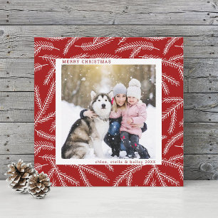 Cartão De Festividades Vermelho   Pine Branch Christmas Photo Square