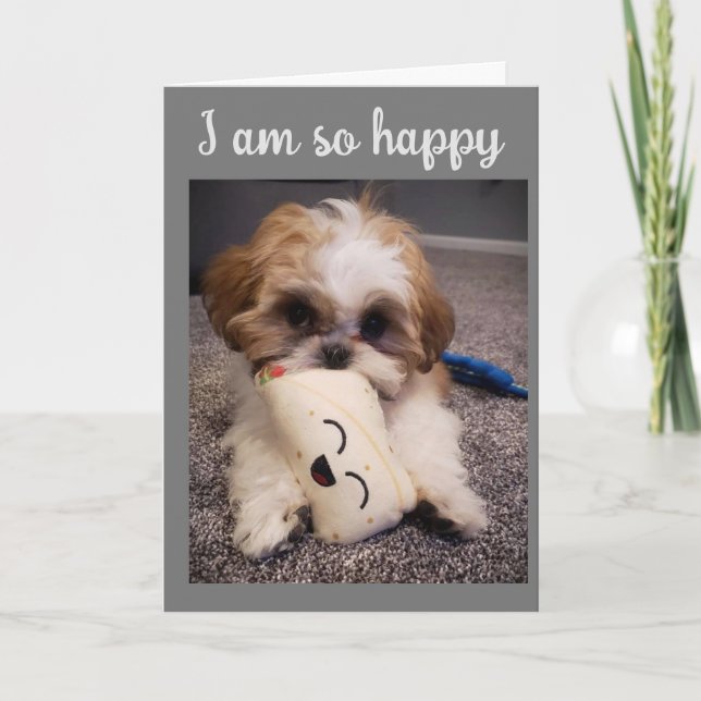 CARTÃO DE FESTIVIDADES VESTIR A MINHA CAUDA / DESEJAR-LHE **FELZ PASCOA** (Frente)