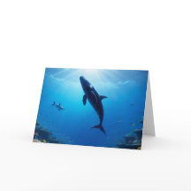 Viagem do Gentil Giant