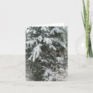 Cartão De Festividades Viagem do inverno