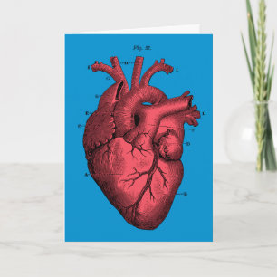 Cartão De Festividades Vintage Anatomical Heart Valentine’s Day