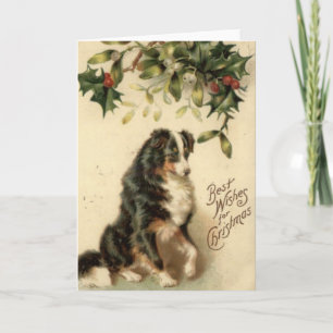 Cartão De Festividades Vintage Border Collie Christmas Card