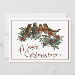 Cartão De Festividades Vintage Robin Bird Natal Sempre Verde Alegre