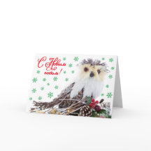 Vintage sábio da coruja do ano novo do Natal