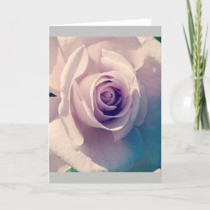 Cartão De Festividades Violet Rosa
