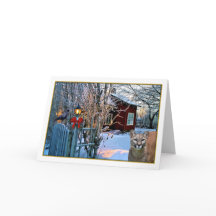 Visitantes da Noite de Natal (puma e corvo)