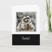 Viva! Cute Racoon Batendo Arte Animal Engraçada