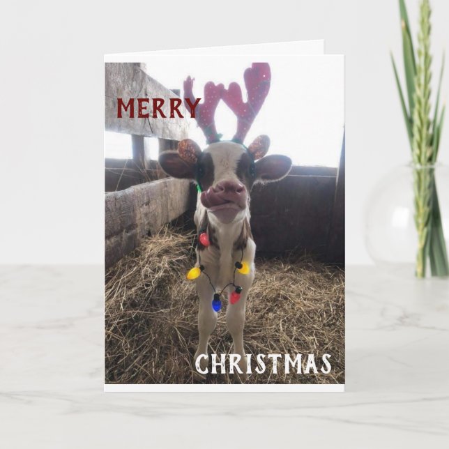 CARTÃO DE FESTIVIDADES VIZINHOS DESEJAVAM O NATAL/FELIZ ANO NOVO DE MERCA (Frente)