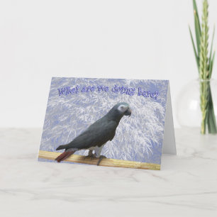 Cartão De Festividades Voando para o Sul