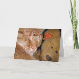 Cartão De Festividades Você é esse para mim