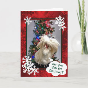 Cartão De Festividades Você É Yeti Para O Natal!