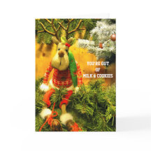 VOCÊ ESTÁ FORA DO MiLK E COOKiES 2