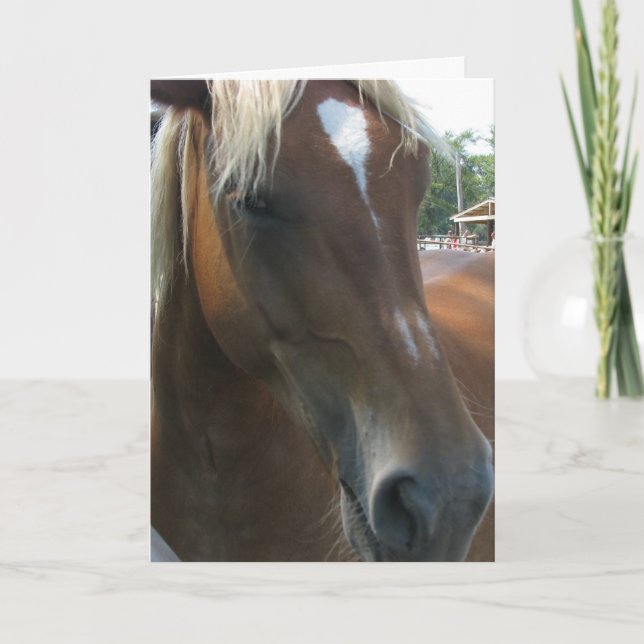 Cartão De Festividades Você trava sempre meu olho (Frente)