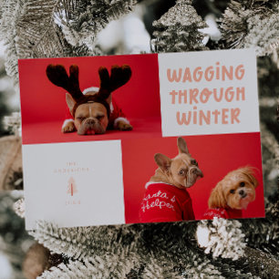Cartão De Festividades Wagling Through Winter Pet Photo