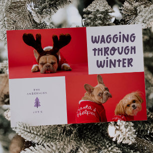 Cartão De Festividades Wagling Through Winter Purple Pet Photo