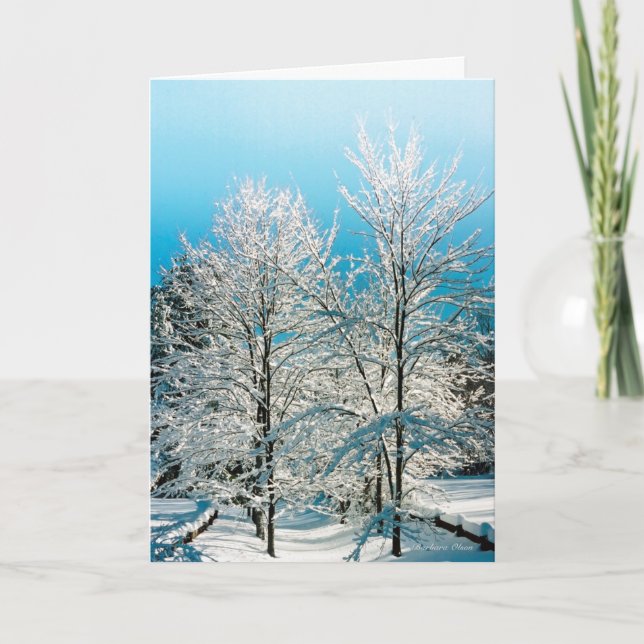 Cartão De Festividades Walden Pond (Frente)