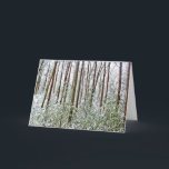 Cartão De Festividades *Walden Pond: Feriado - Silêncio - Refúgio A-Unive<br><div class="desc">Interior:
O silêncio é audível para todos,  para todos os homens,  e em todos os lugares... ...   O silêncio é o refúgio universal... 
 .

Aproveite os Simples Prazeres da Estação.</div>