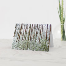 *Walden Pond: Feriado - Silêncio - Refúgio A-Unive