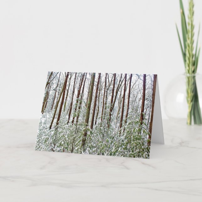 Cartão De Festividades *Walden Pond: Feriado - Silêncio - Refúgio A-Unive (Frente)