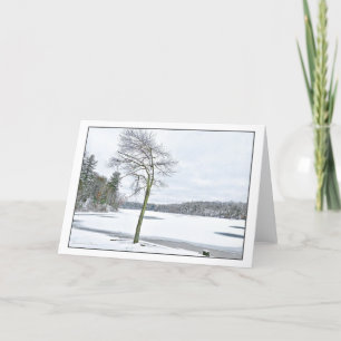 Cartão De Festividades Walden Pond: inverno