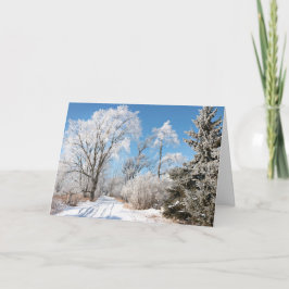 Cartão De Festividades Walking in a winter wonderland Christmas Card