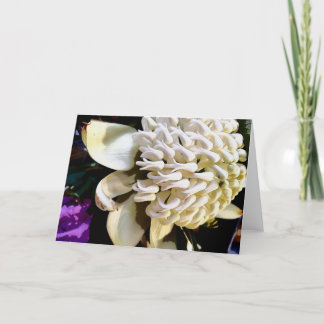 Cartão De Festividades Warratah branco