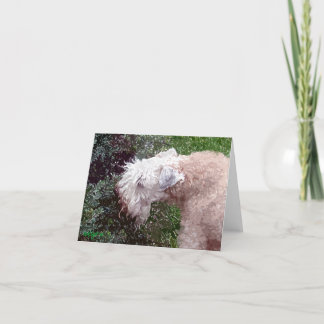 Cartão De Festividades Waverly Painterly