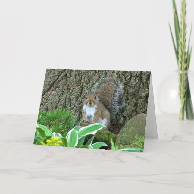 Cartão De Festividades Wee Princess (Frente)