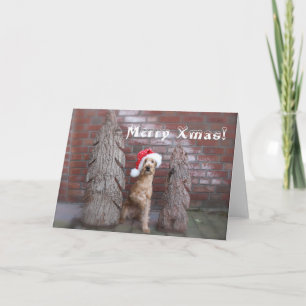 Cartão De Festividades Weihnachtskarte "Irish Terrier"