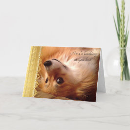 Cartão De Festividades Welsh Corgi Namorados olhando para você garoto