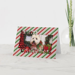 Cartão De Festividades West Highland Terrier Christmas Photocard