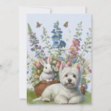 West Highland Terrier e Bunnie Páscoa Card