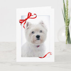Cartão De Festividades Westie Christmas Card