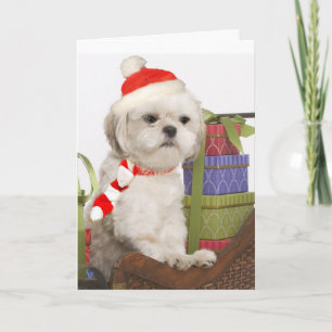 Cartão De Festividades Westie Christmas Cards