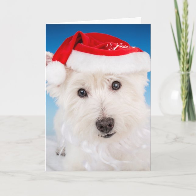 Cartão De Festividades Westie com chapéu e barba de Papai Noel (Frente)