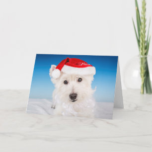 Cartão De Festividades Westie com Santa Chapéu e Barba